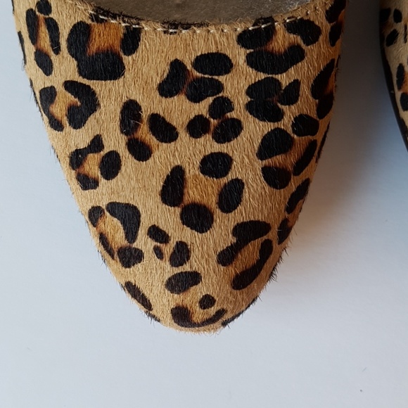 Steve Madden Animal Print Wedge - Picture 8 of 8
